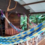 Dji Mimo 20260207 131512 20260207131511 1770818995418 Photo 150x150