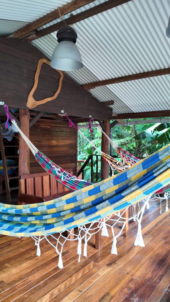 Dji Mimo 20260207 131512 20260207131511 1770818995418 Photo 576x1024